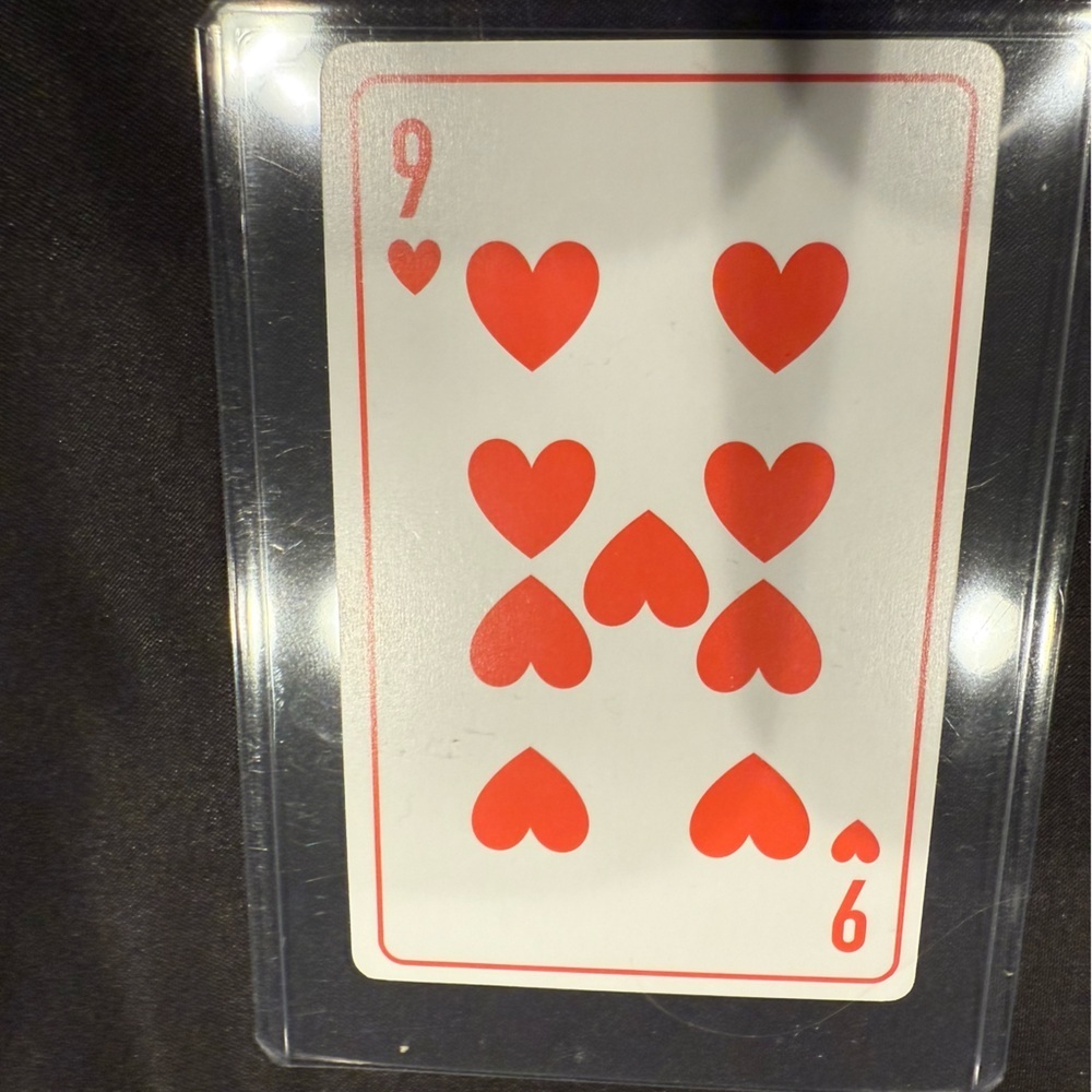 5 Christian Dior Novelty Playing Cards from 2024 Summer Set Protective Cases - Picture 10 of 15